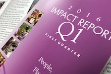 Cover of Q1 2016 Impact Report